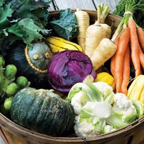 Fall CSA
