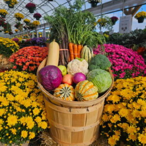 Fall CSA Full Share