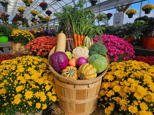 Fall CSA Full Share